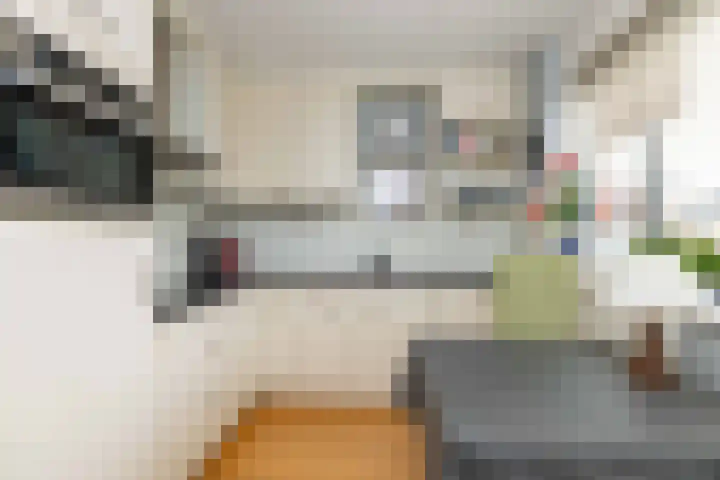 Bittervoorn 62 Hoogeveen thumbnail 5