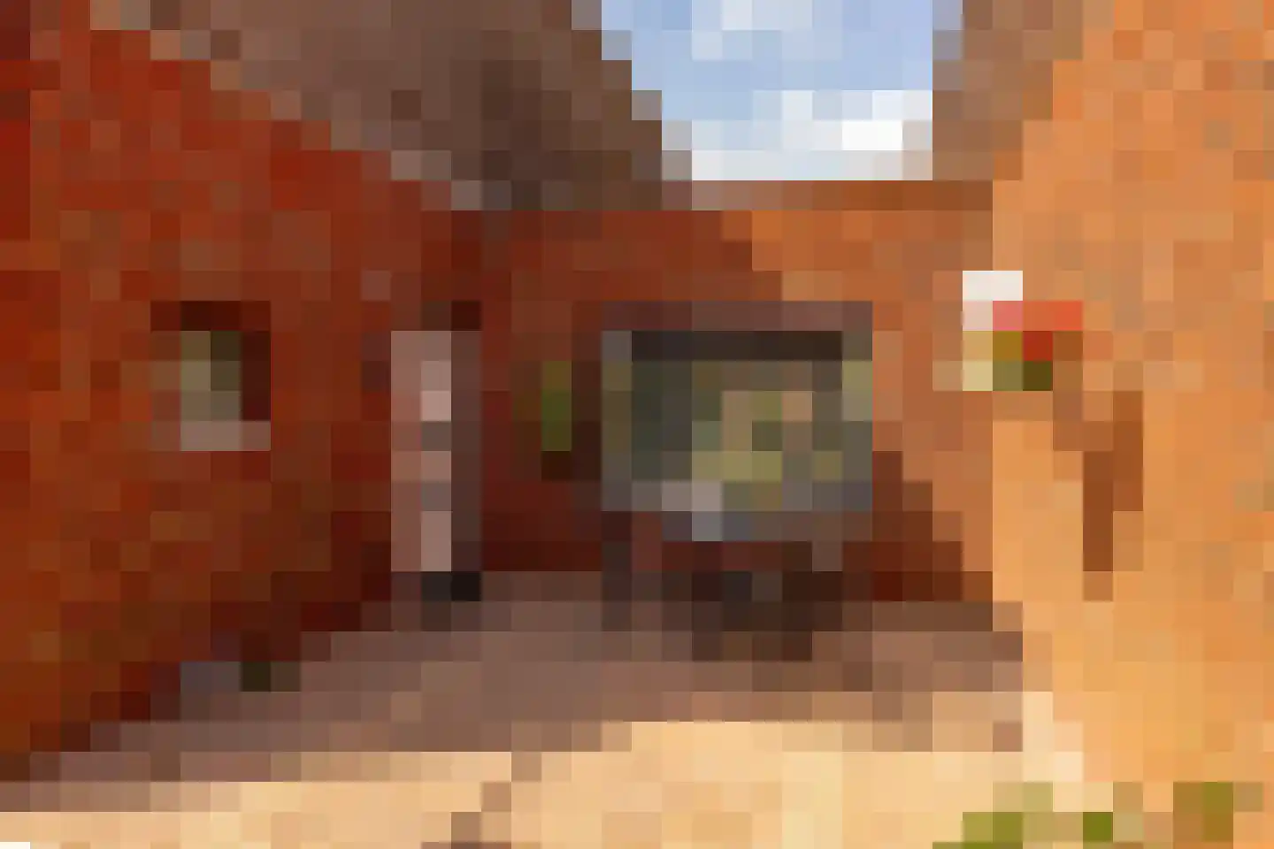 Bittervoorn 62 Hoogeveen thumbnail 54