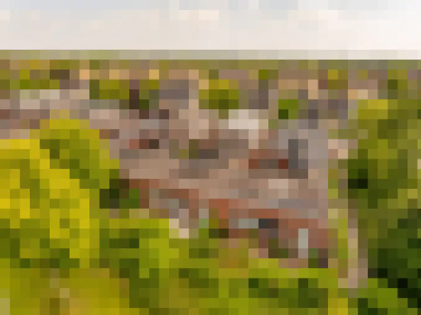 Bittervoorn 62 Hoogeveen thumbnail 55