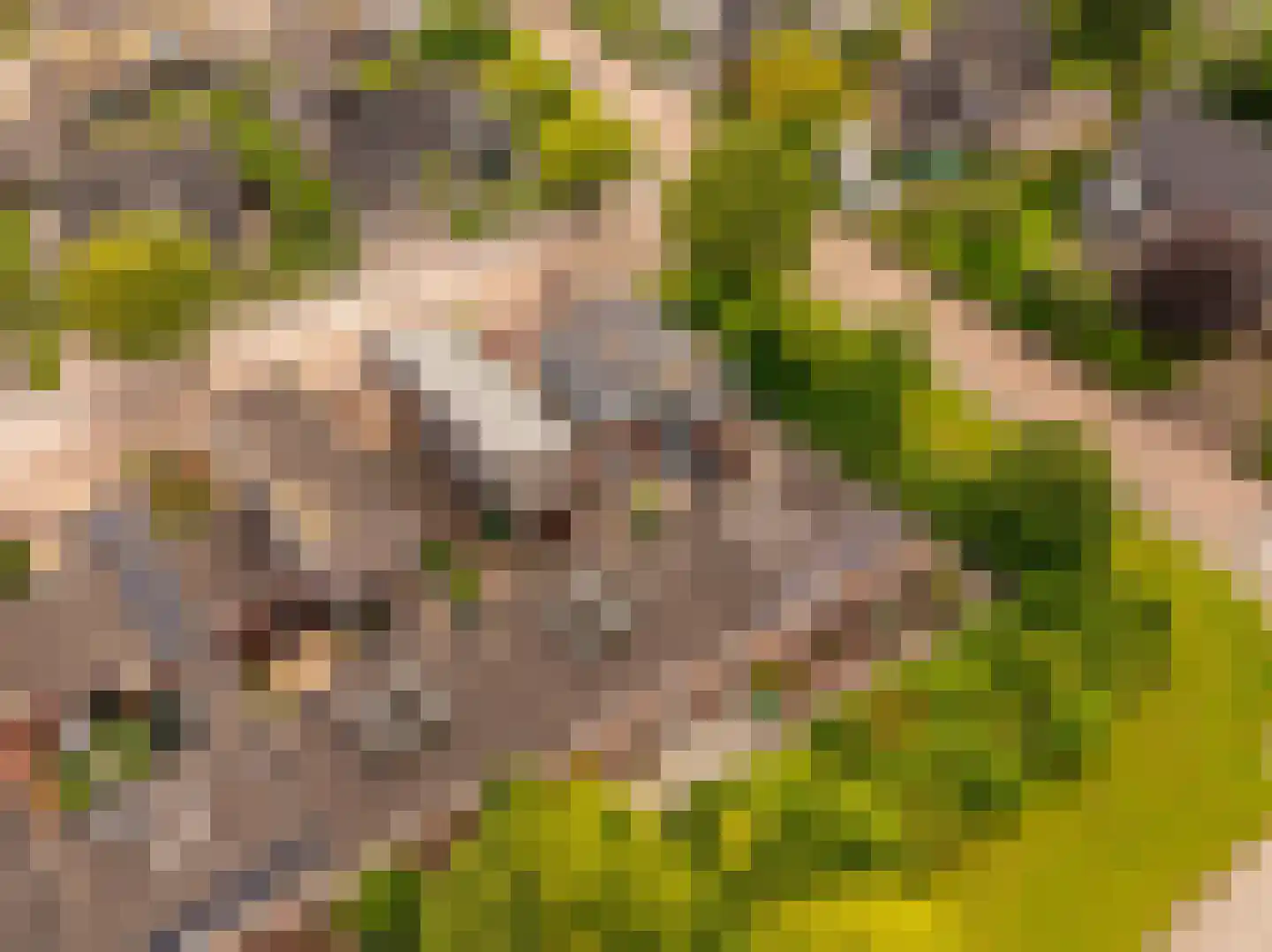Bittervoorn 62 Hoogeveen thumbnail 56