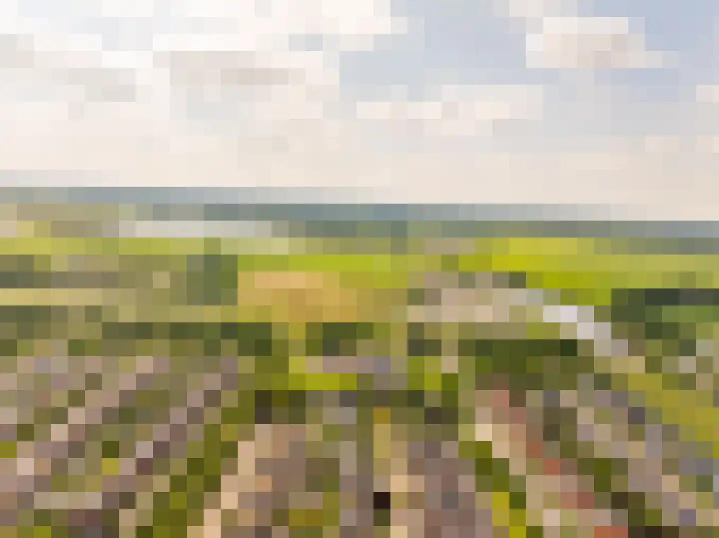 Bittervoorn 62 Hoogeveen thumbnail 60