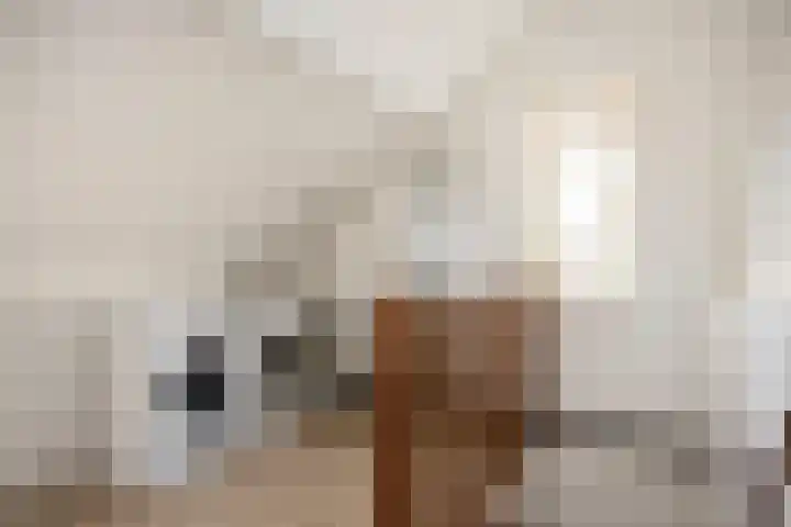 Bittervoornstraat 46 Hengelo thumbnail 27