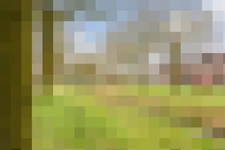 Bittervoornstraat 46 Hengelo thumbnail 43