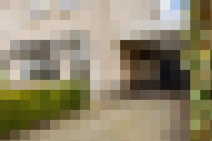 Bittervoornstraat 46 Hengelo thumbnail 7