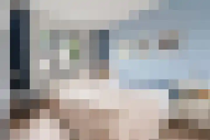 Bivak 10 Ede thumbnail 24