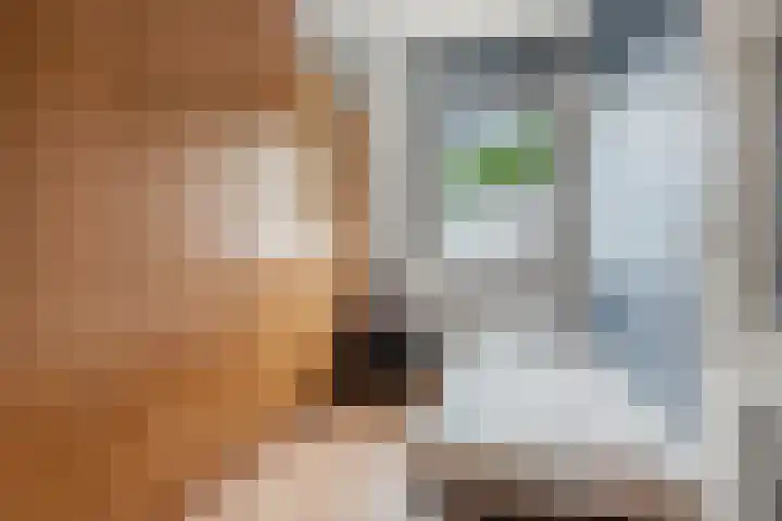 Bivak 10 Ede thumbnail 26