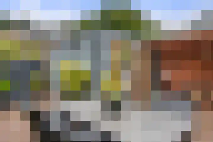 Bivak 10 Ede foto 3