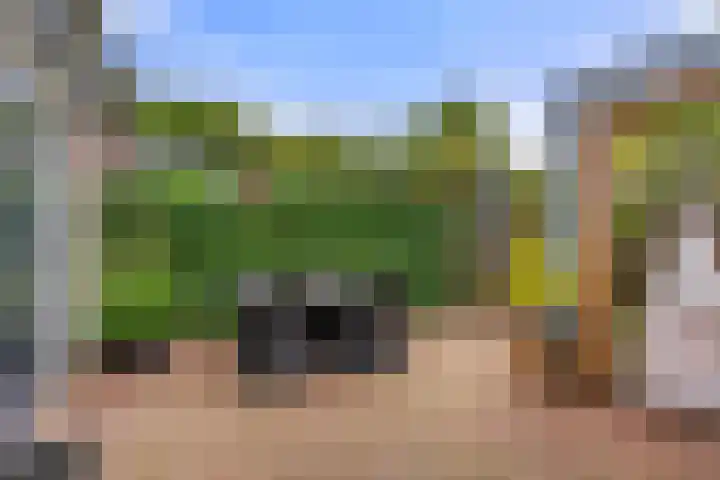 Bivak 10 Ede thumbnail 37