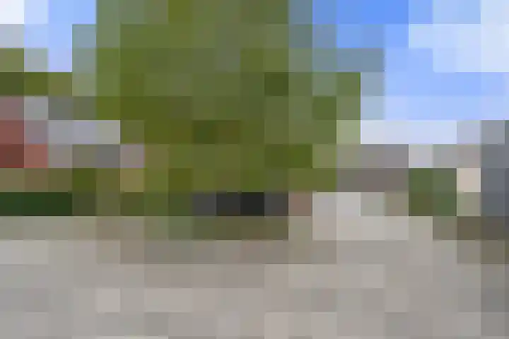 Bivak 10 Ede thumbnail 40