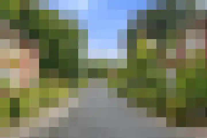 Bivak 10 Ede thumbnail 41