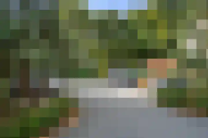 Bivak 10 Ede thumbnail 43