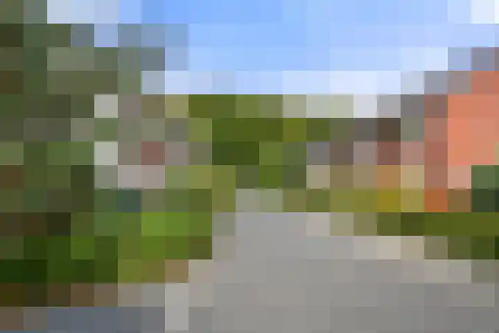 Bivak 10 Ede thumbnail 44