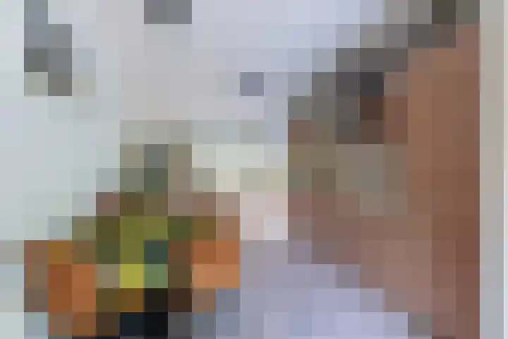 Bivak 103 Almere thumbnail 16