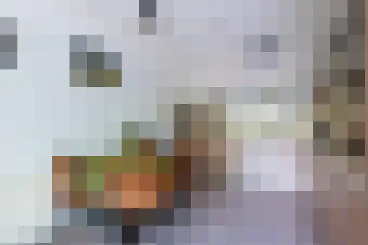 Bivak 103 Almere thumbnail 17