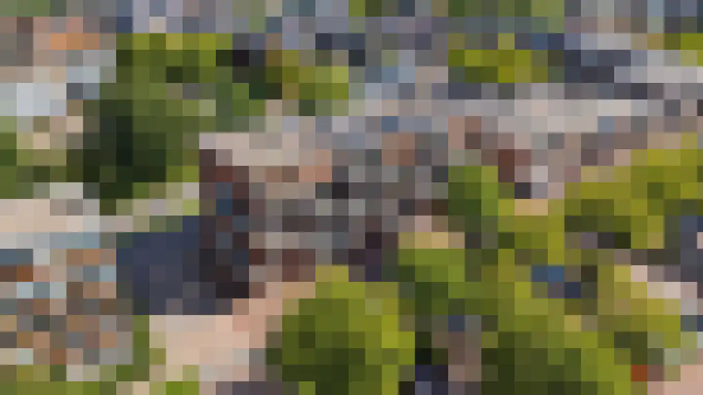 Bivak 131 Almere thumbnail 28
