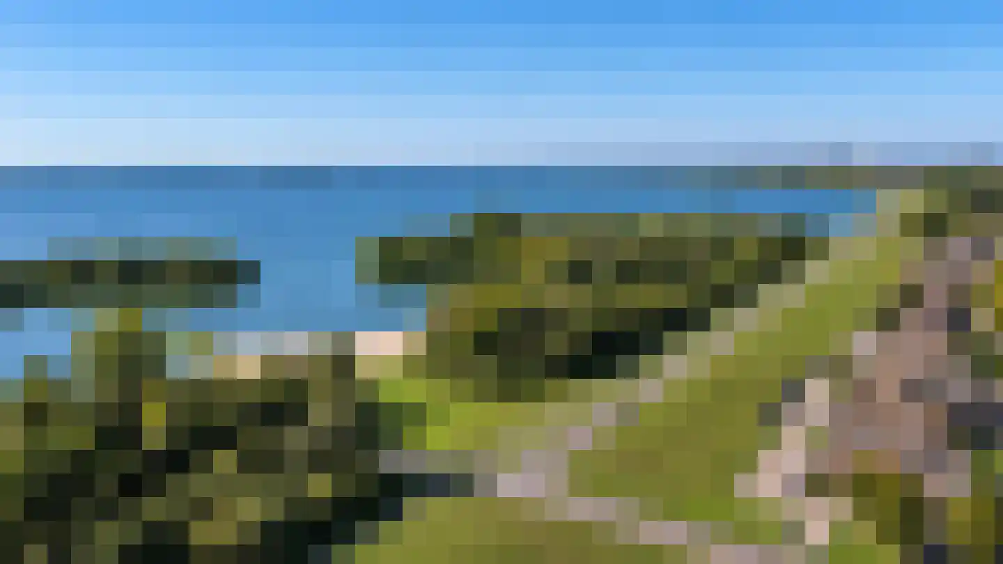 Bivak 131 Almere thumbnail 29
