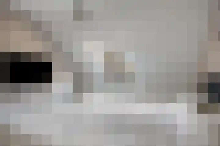 Bivak 15 Ede thumbnail 45