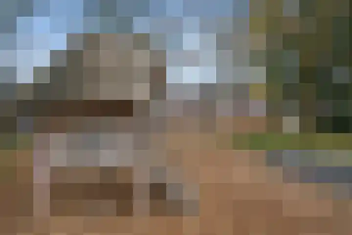 Bivak 15 Ede thumbnail 46