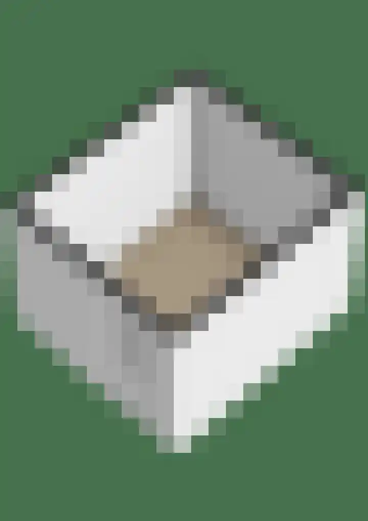 Bivak 15 Ede thumbnail 54