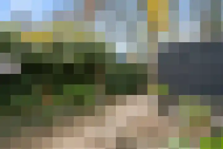 Bivak 15 Ede thumbnail 7