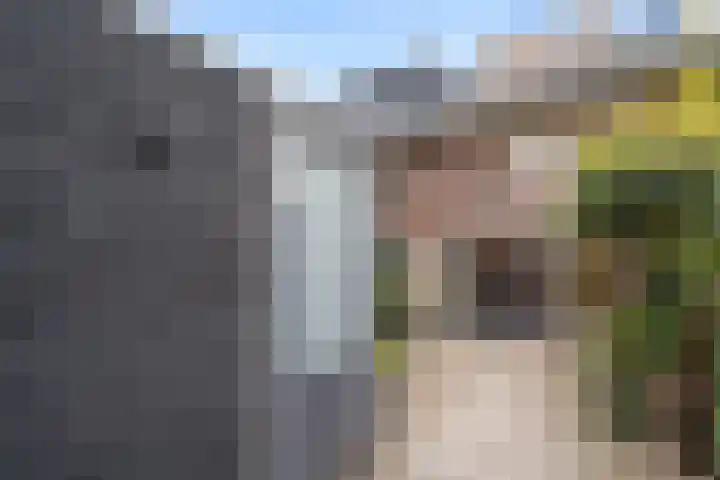 Bivak 15 Ede thumbnail 9