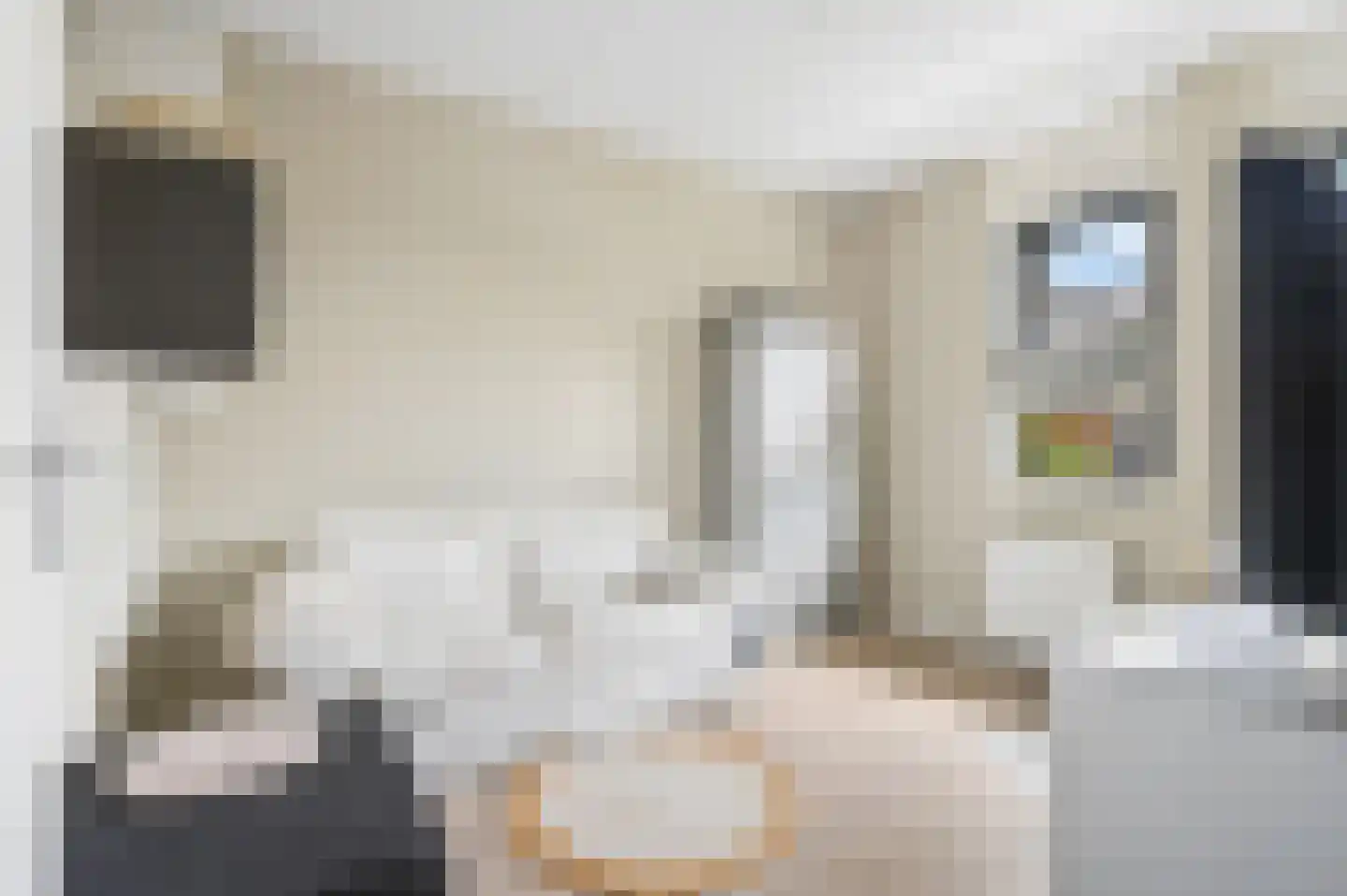 Bivak 19 Ede thumbnail 15