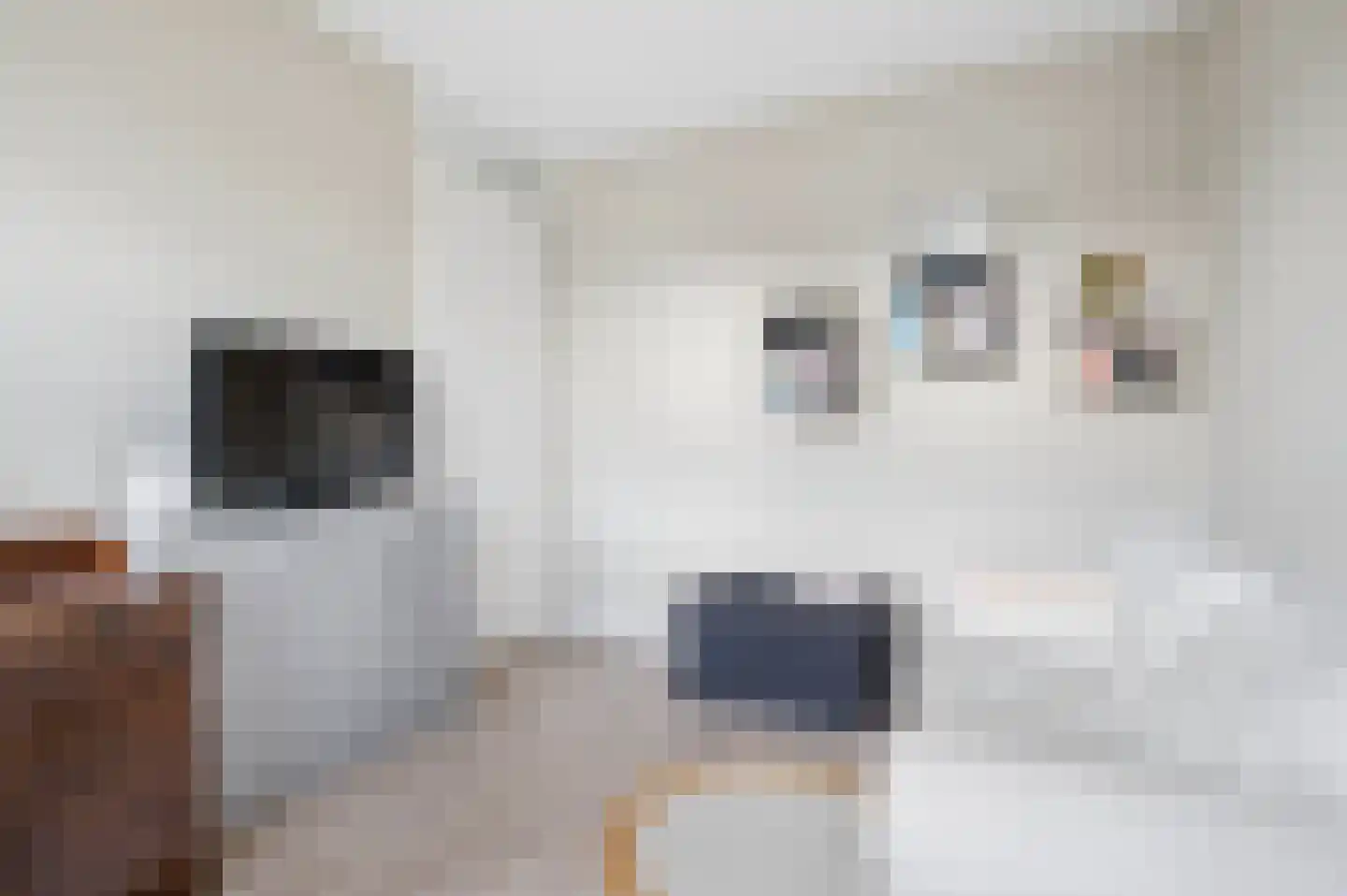 Bivak 19 Ede thumbnail 16