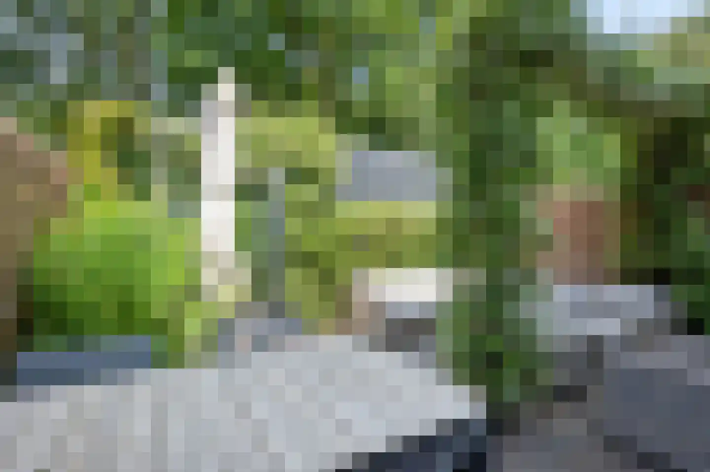 Bivak 19 Ede thumbnail 30