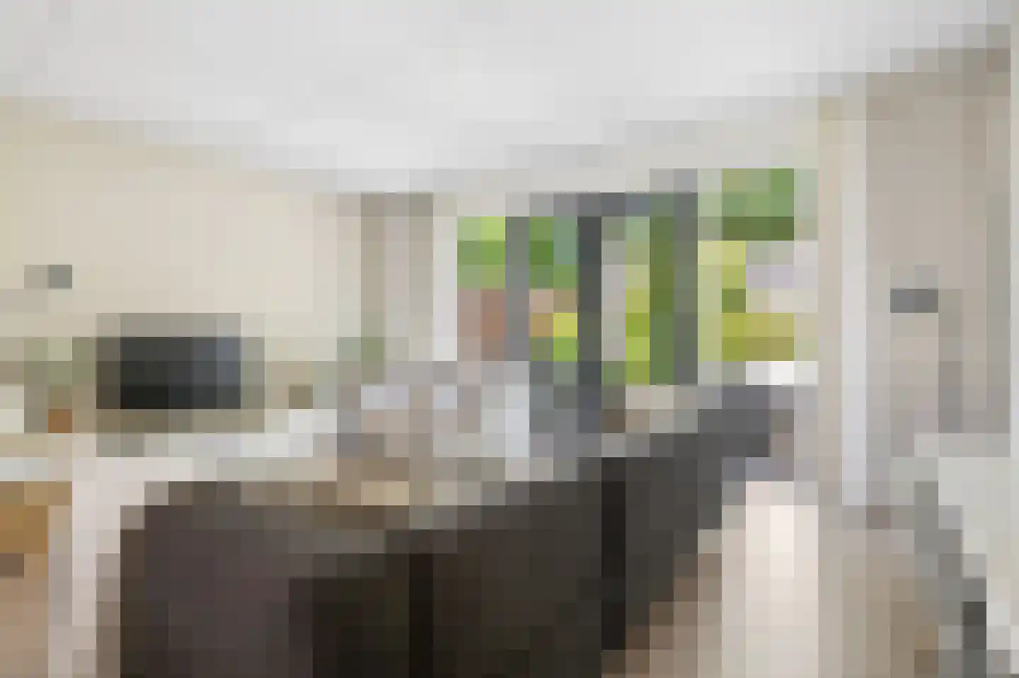 Bivak 19 Ede thumbnail 4
