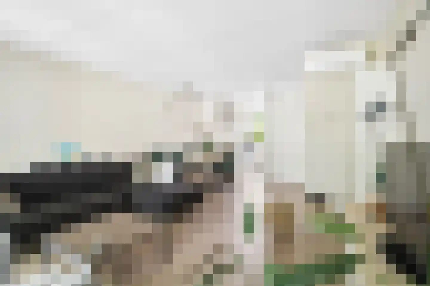 Bivak 19 Ede thumbnail 5