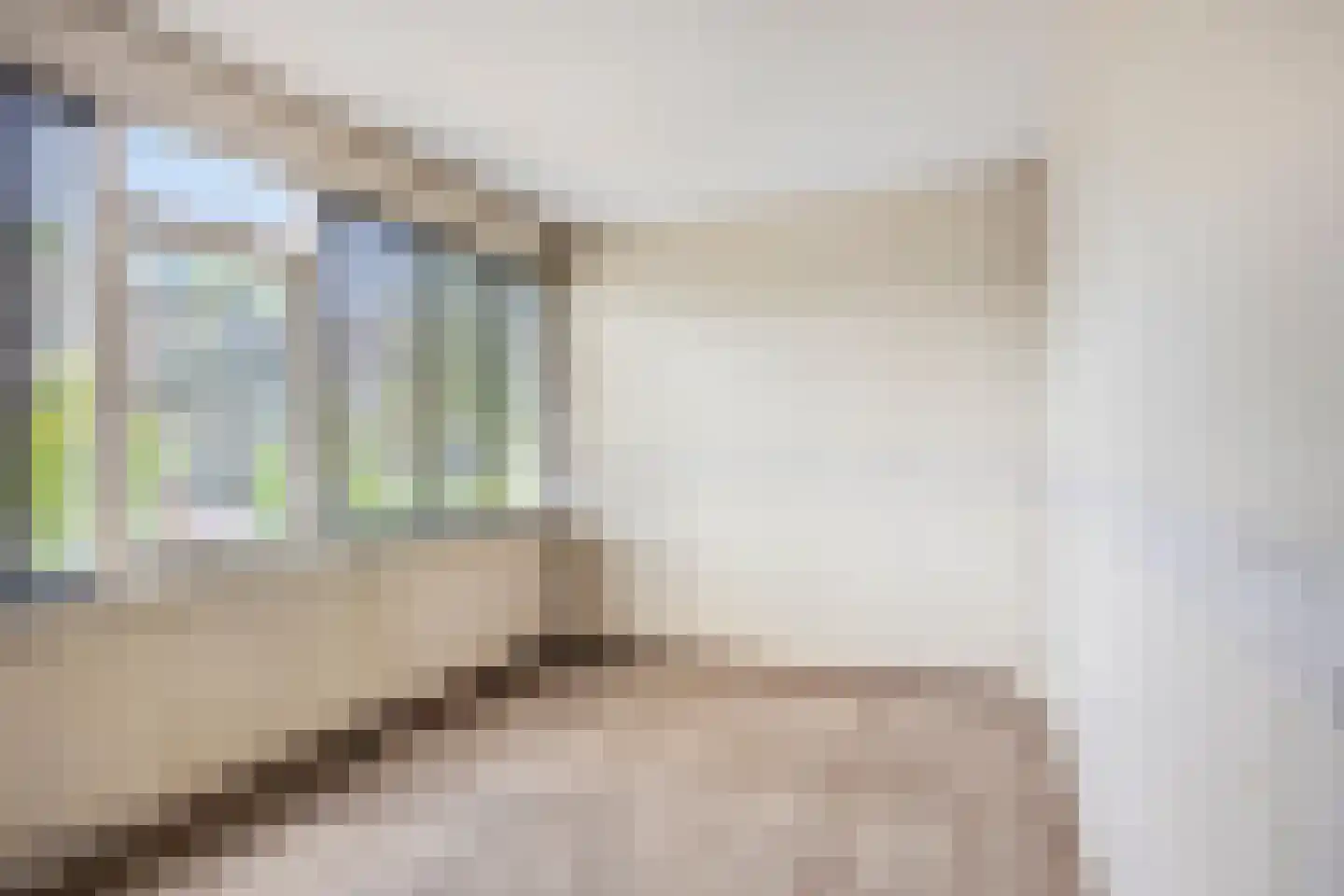 Bizet 18 Naaldwijk thumbnail 14