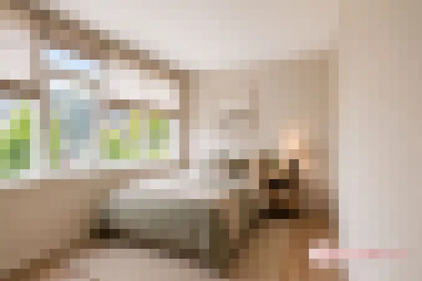 Bizet 18 Naaldwijk thumbnail 16