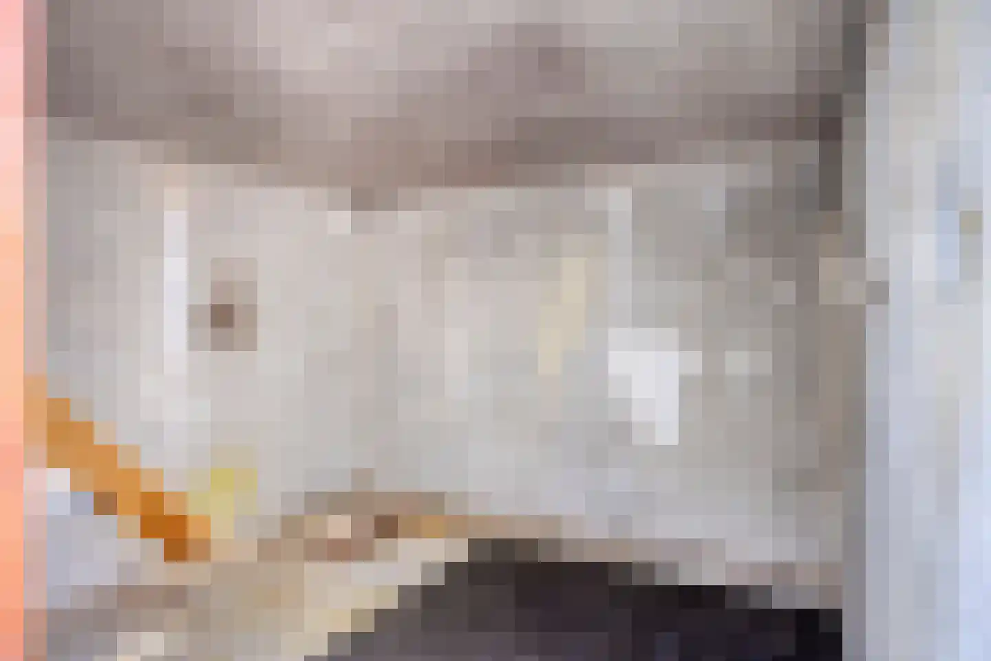 Bizet 18 Naaldwijk thumbnail 21