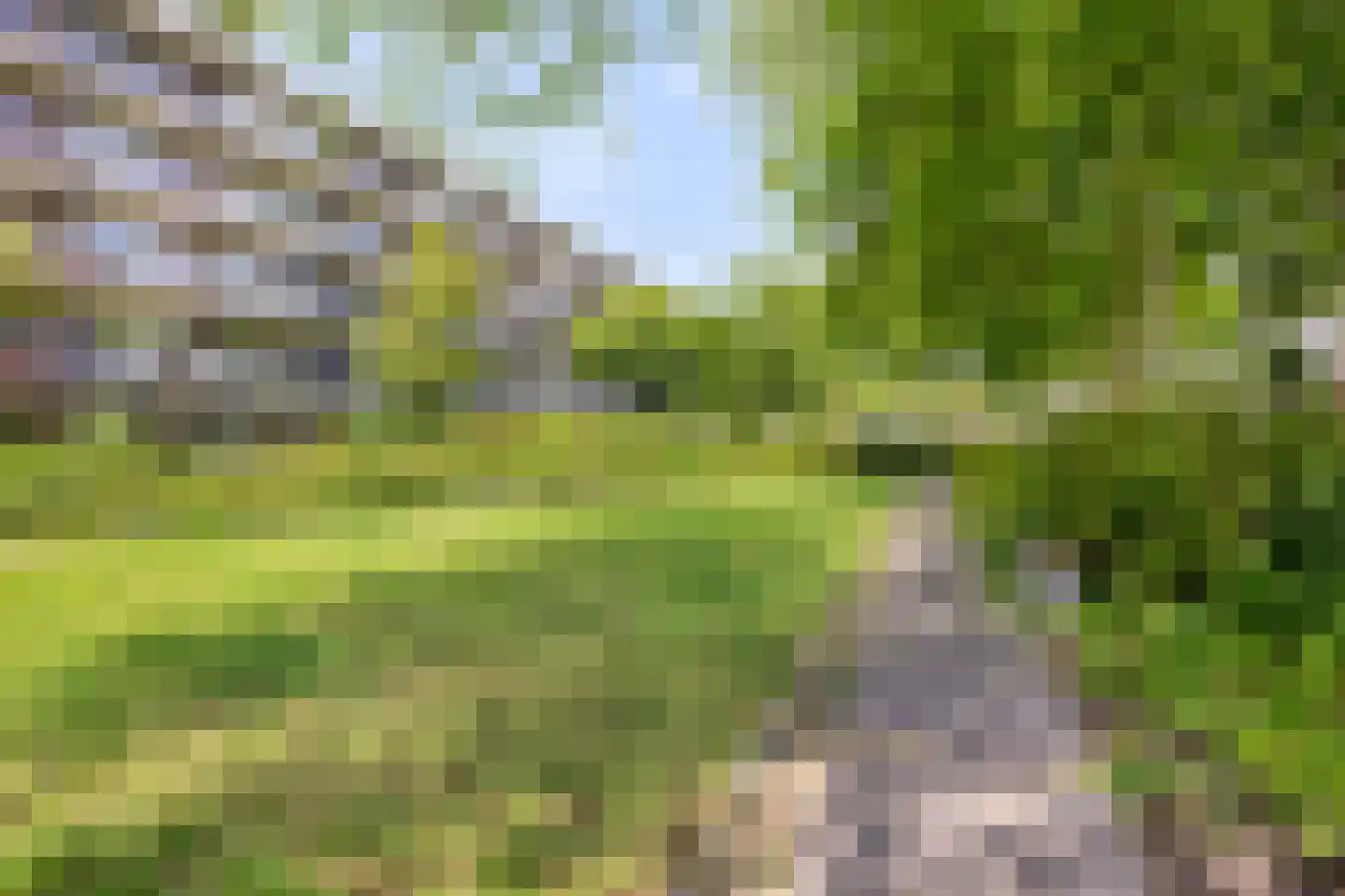 Bizet 18 Naaldwijk thumbnail 25