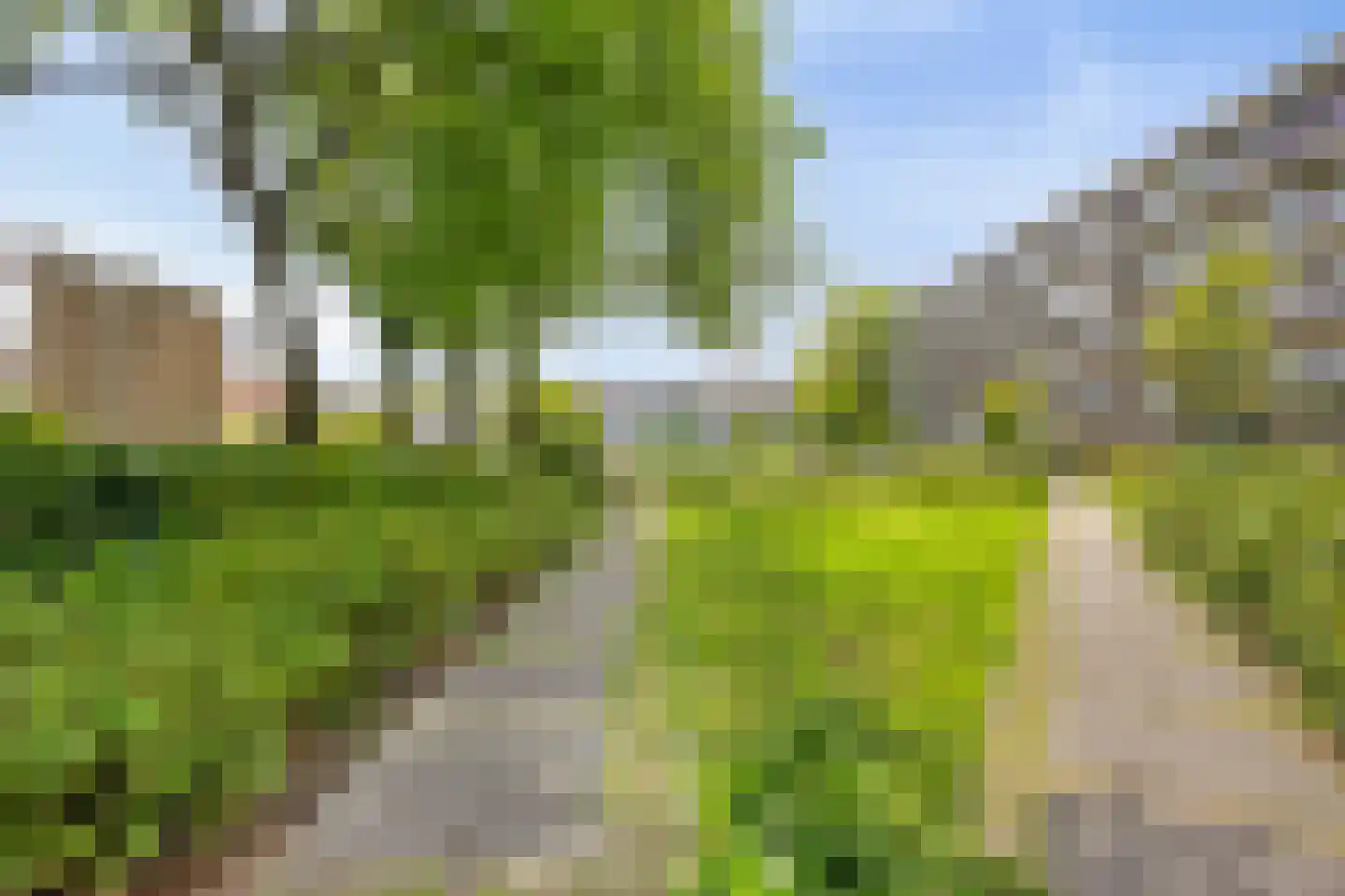Bizet 18 Naaldwijk thumbnail 26
