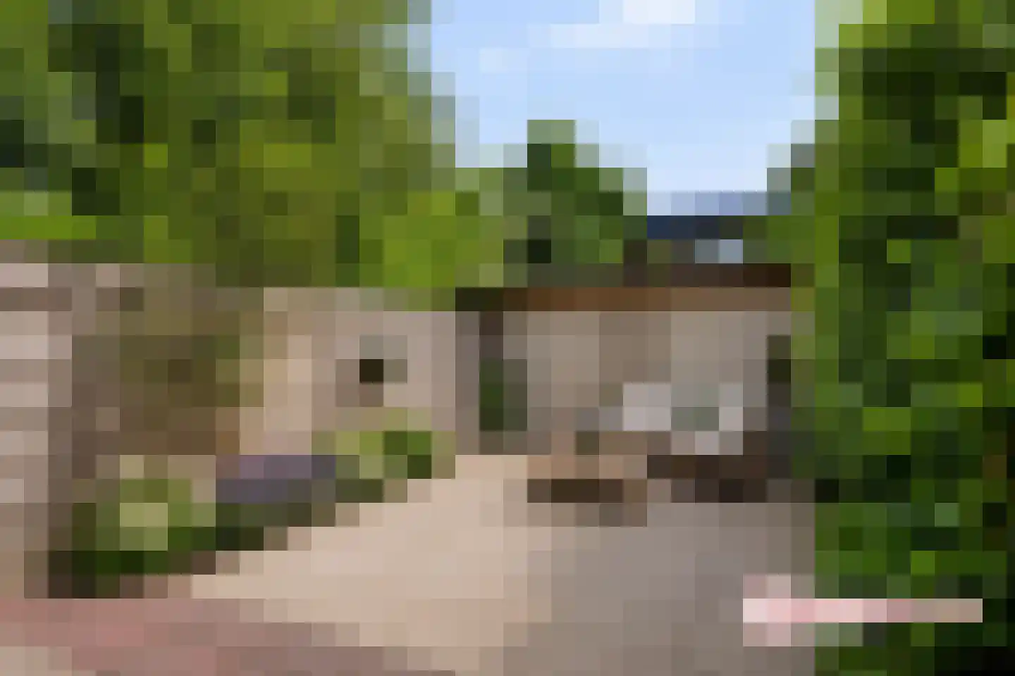 Bizet 18 Naaldwijk thumbnail 27