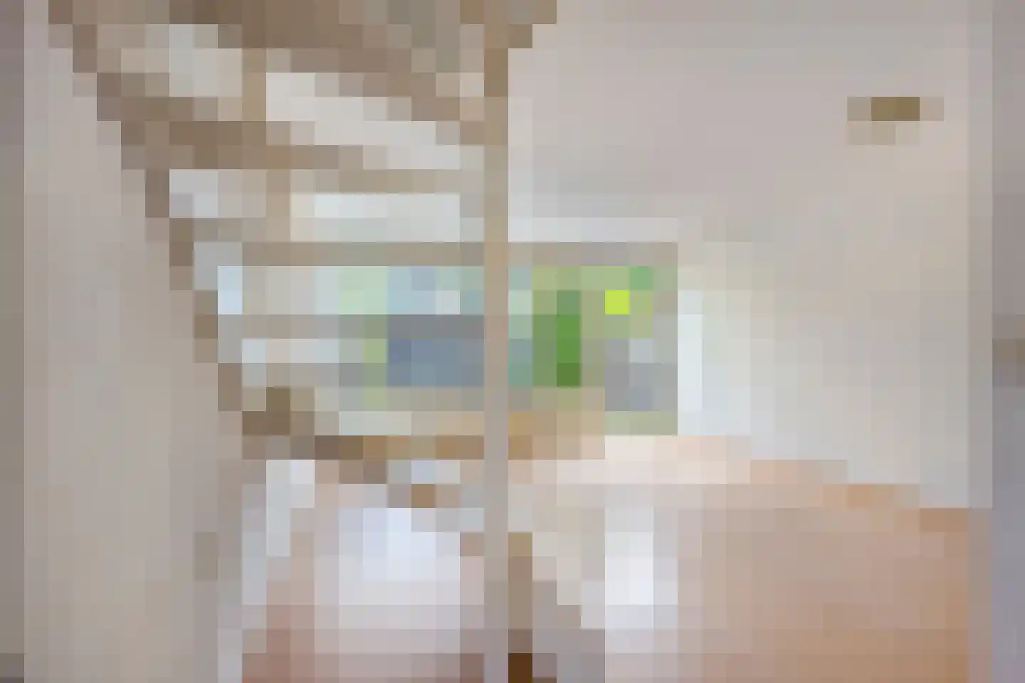 Bizet 18 Naaldwijk thumbnail 9
