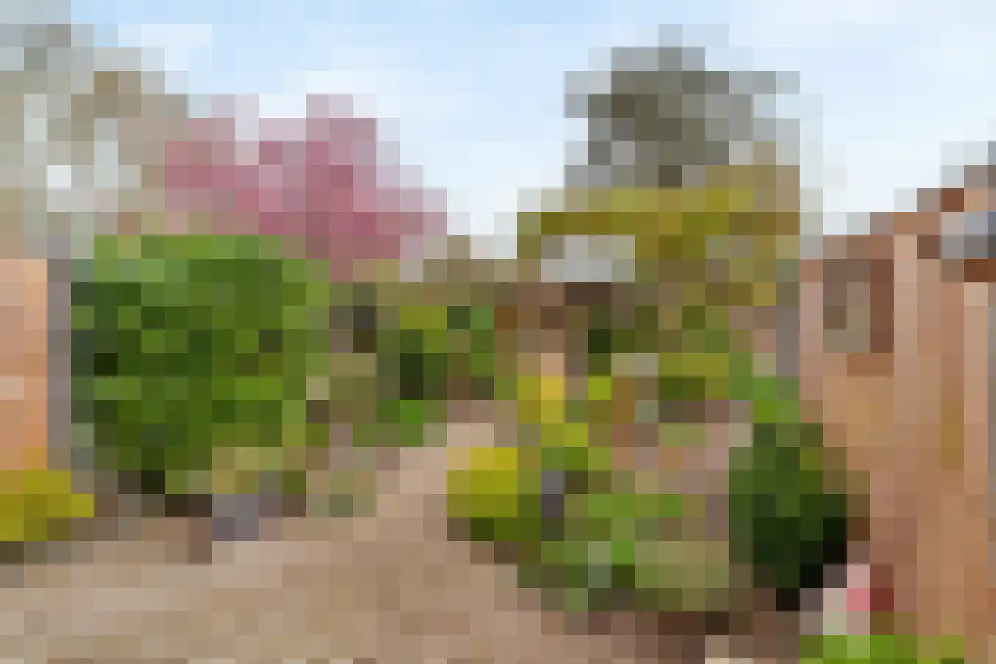 Bizet 34 Naaldwijk thumbnail 11