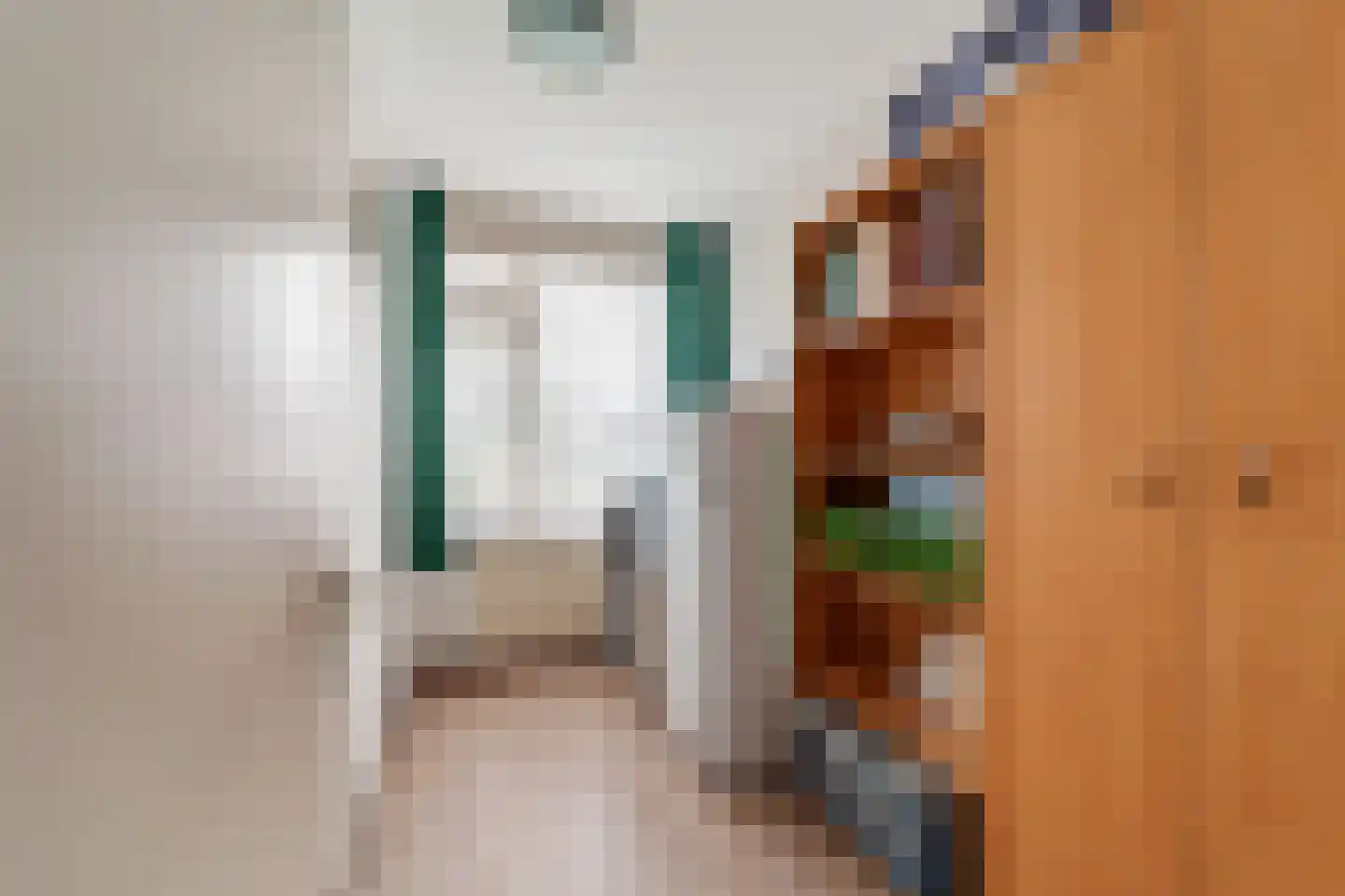 Bizet 34 Naaldwijk thumbnail 18