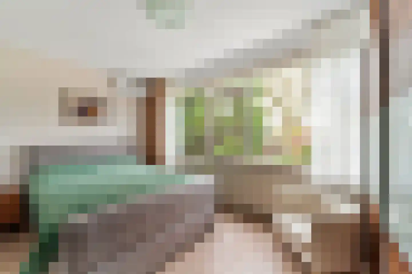 Bizet 34 Naaldwijk thumbnail 20