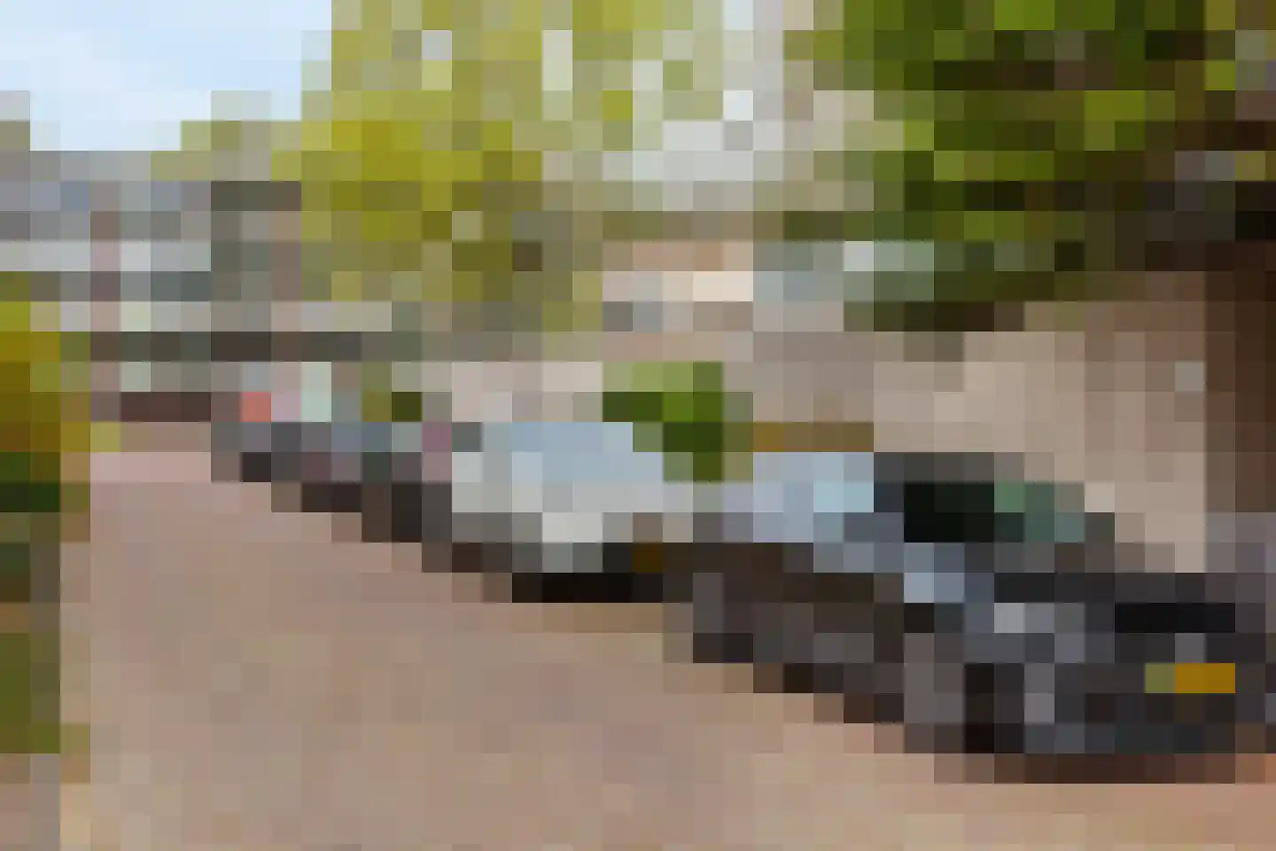Bizet 34 Naaldwijk thumbnail 25