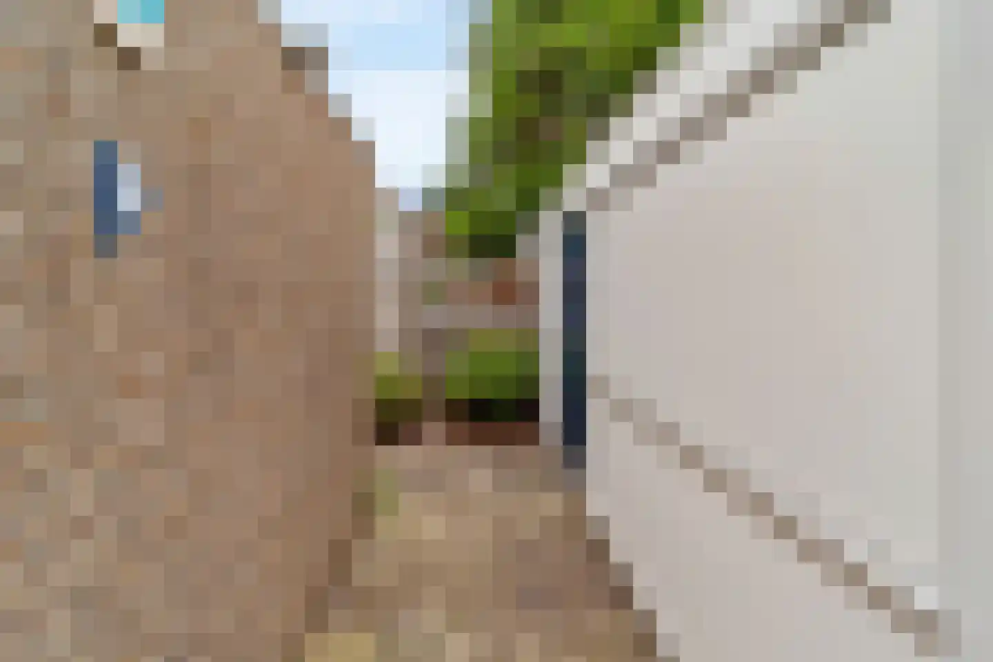 Bizet 34 Naaldwijk thumbnail 27