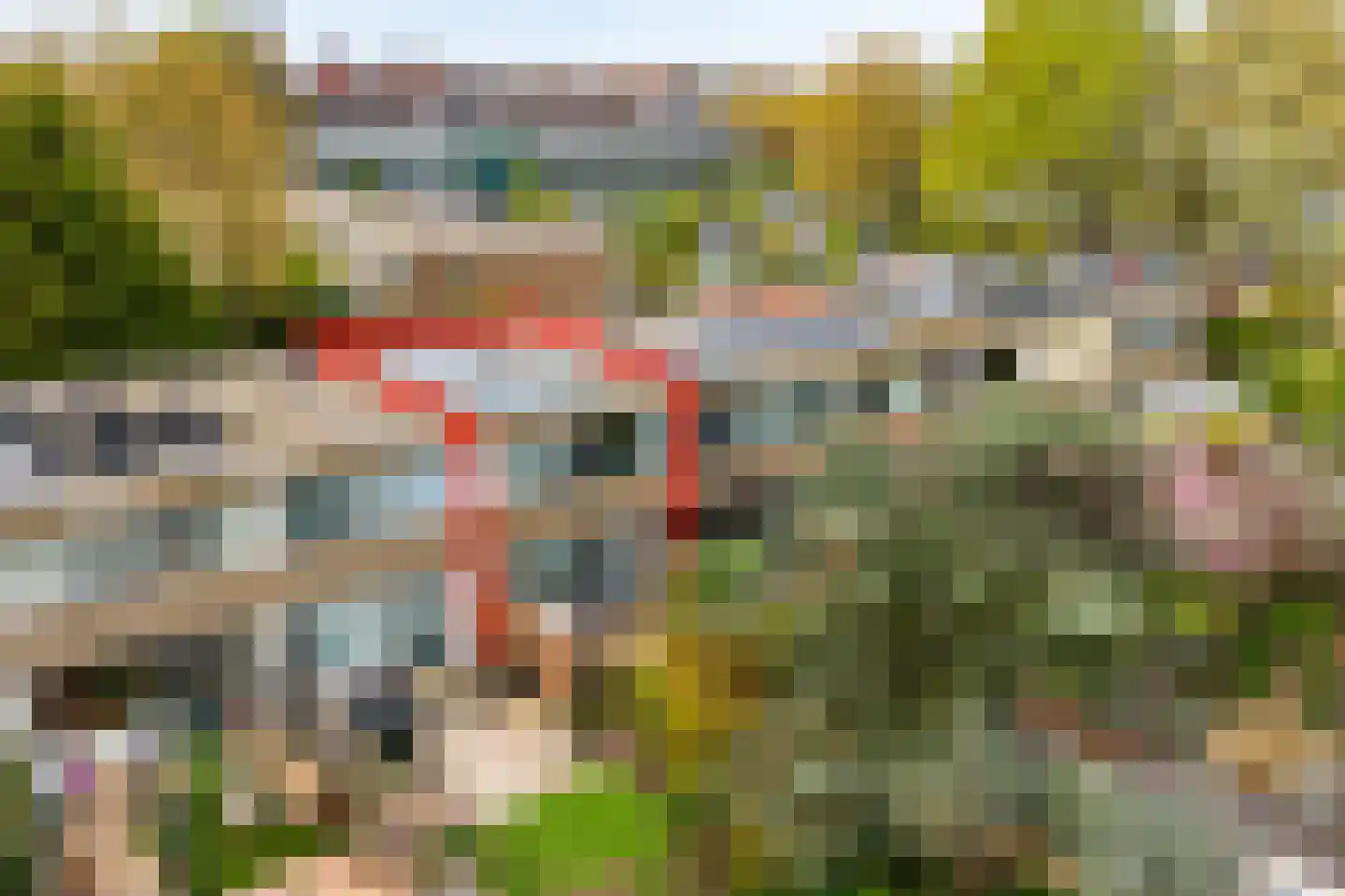 Bizet 34 Naaldwijk thumbnail 30