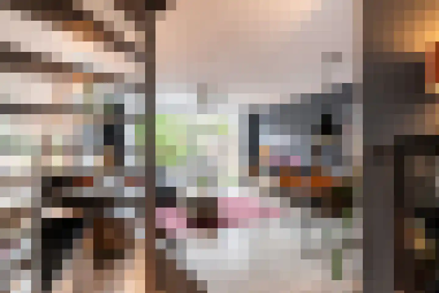 Bizet 4 Naaldwijk thumbnail 12
