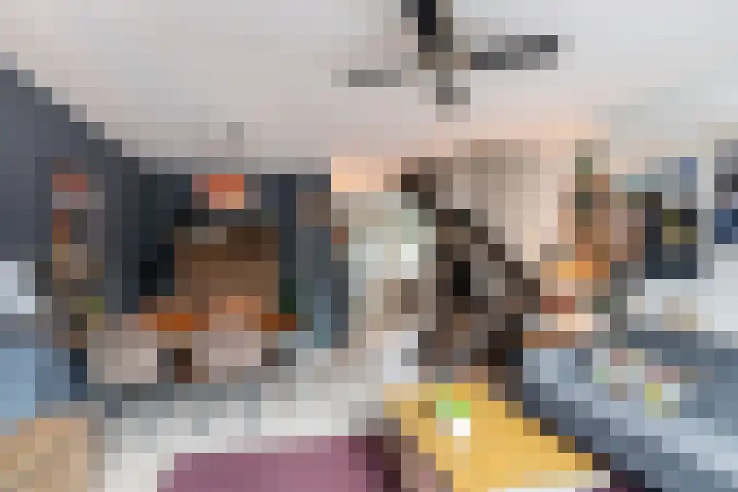 Bizet 4 Naaldwijk thumbnail 13
