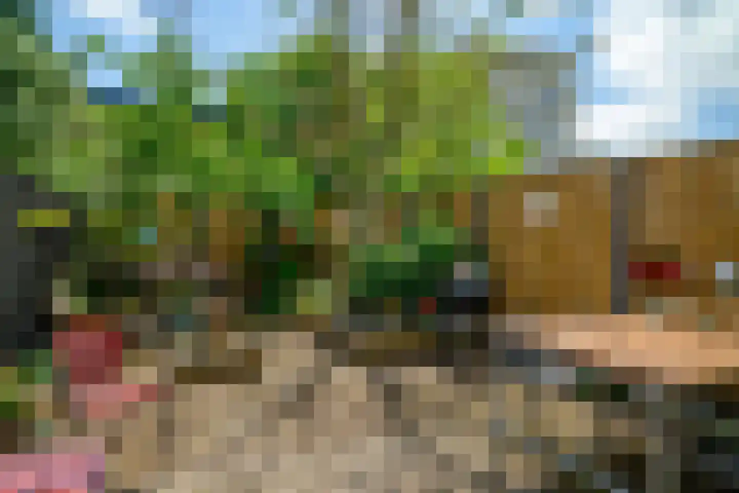 Bizet 4 Naaldwijk thumbnail 14