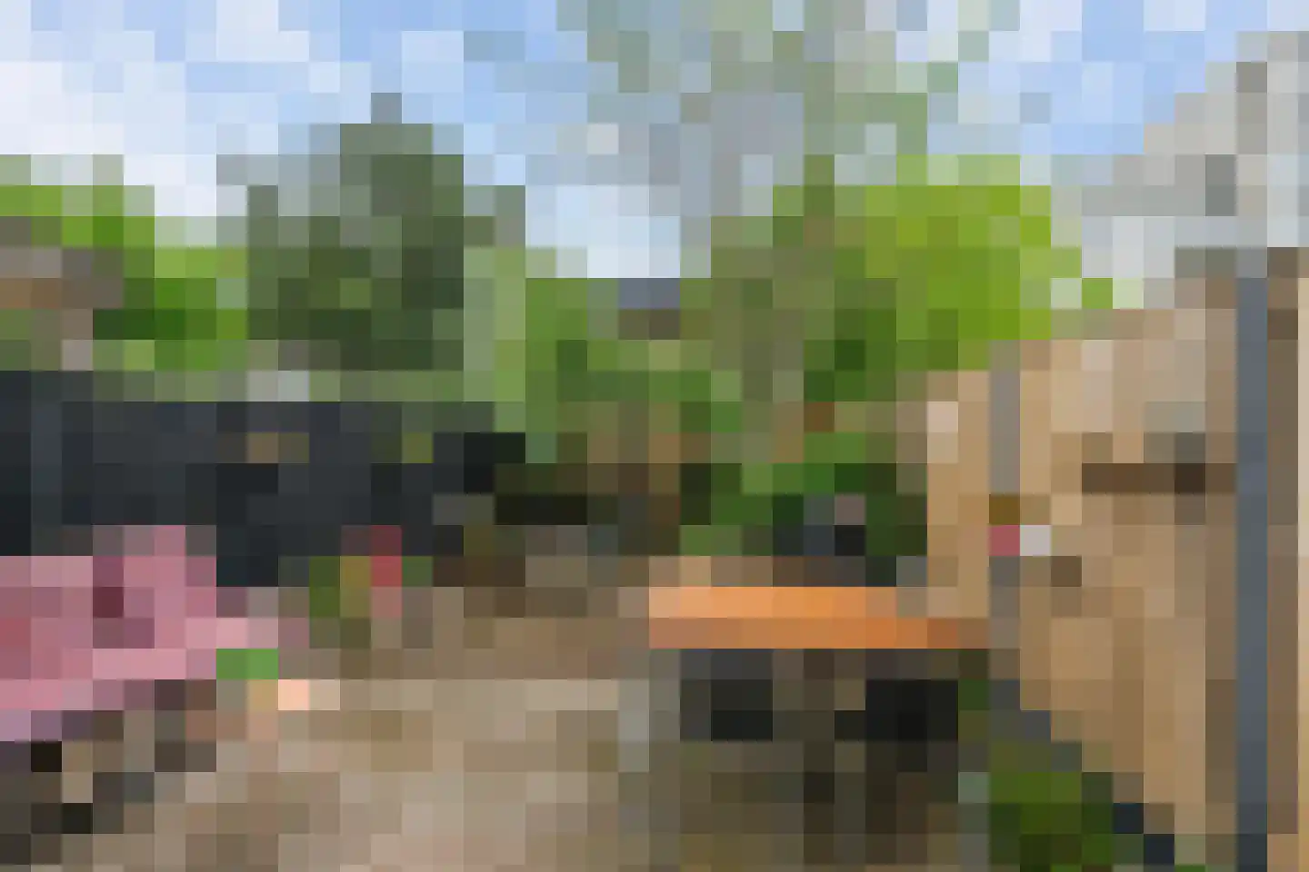 Bizet 4 Naaldwijk thumbnail 15