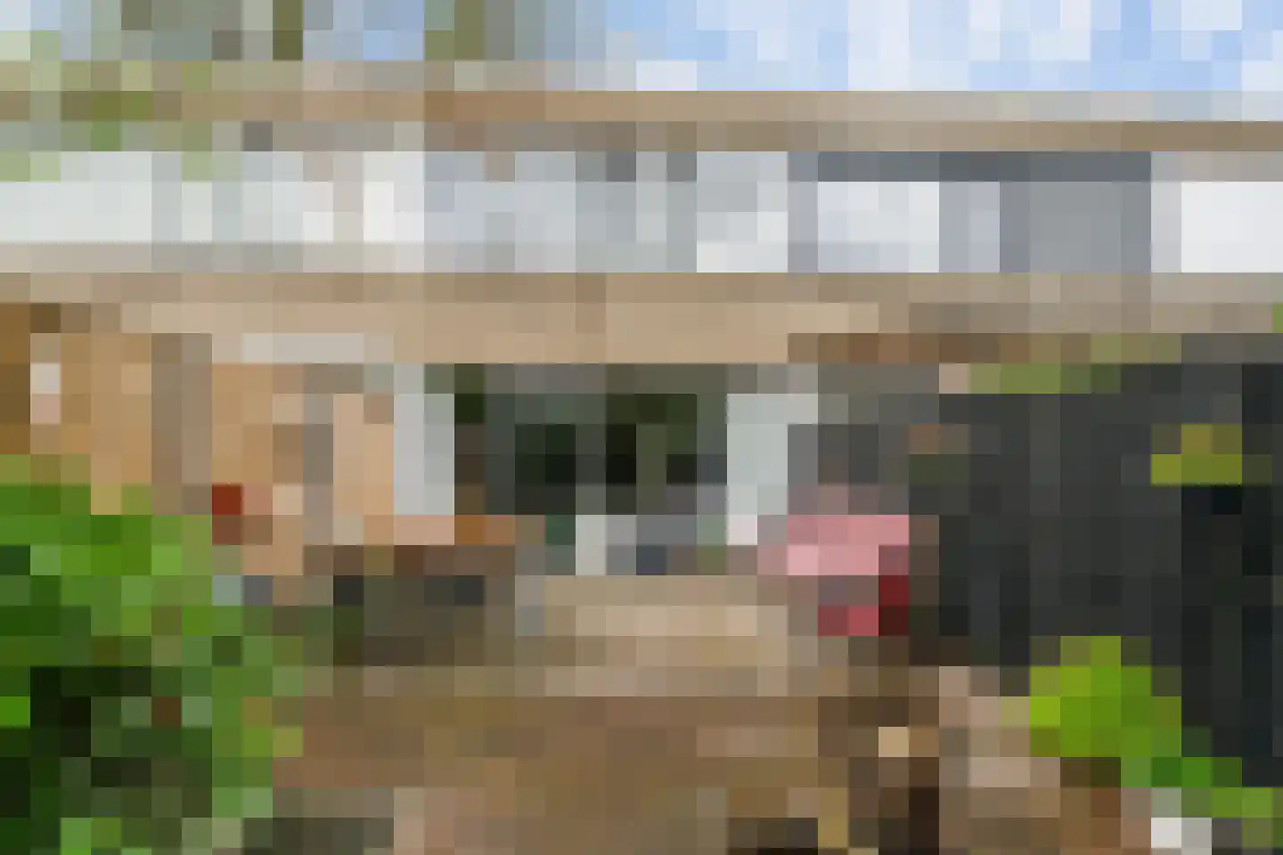 Bizet 4 Naaldwijk thumbnail 16