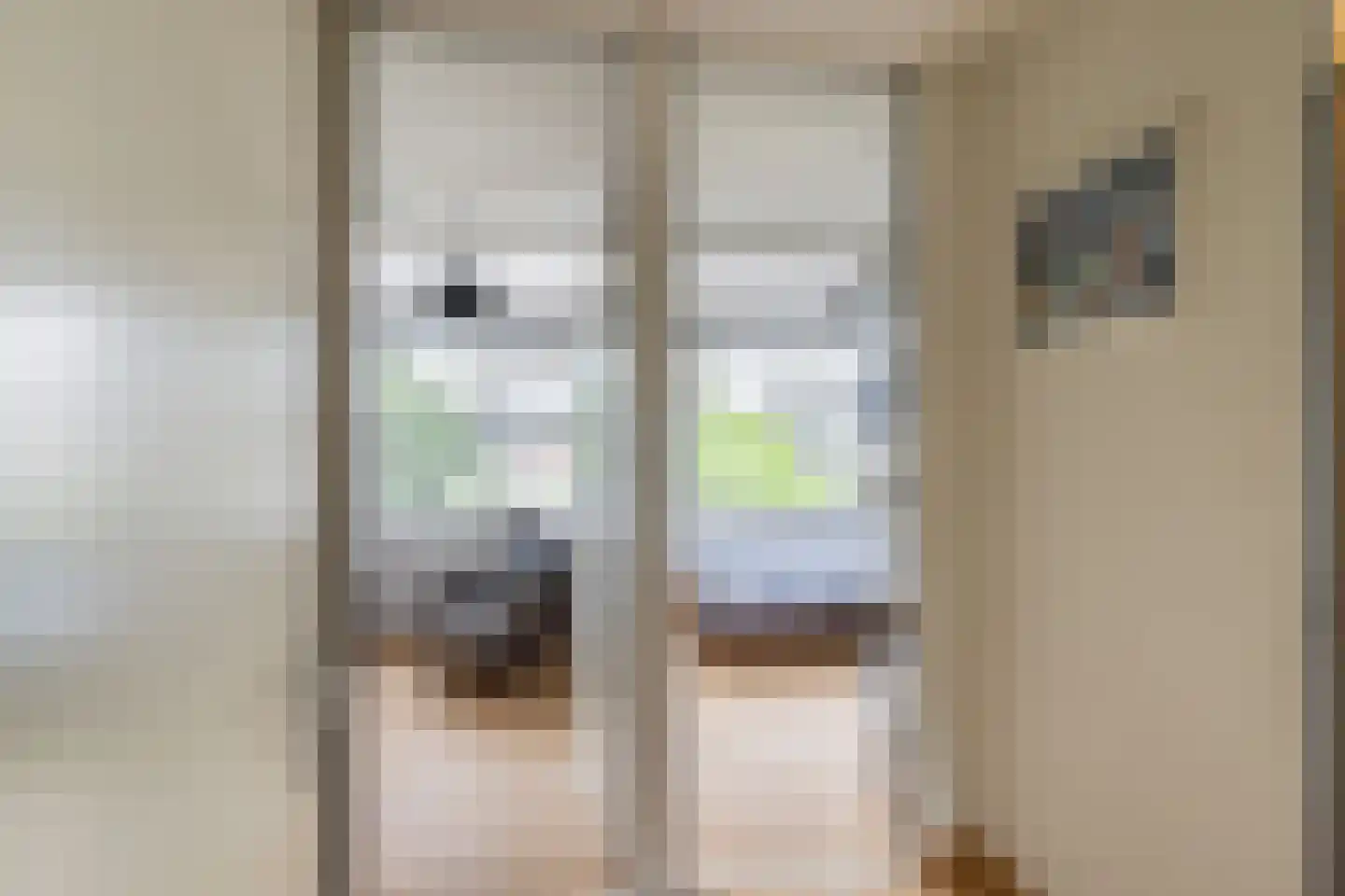 Bizet 4 Naaldwijk thumbnail 21