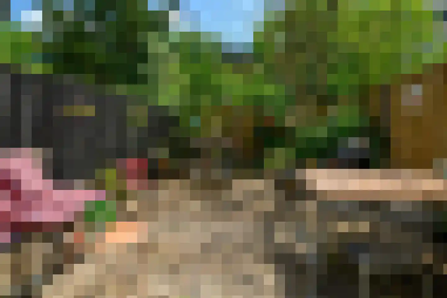 Bizet 4 Naaldwijk thumbnail 4